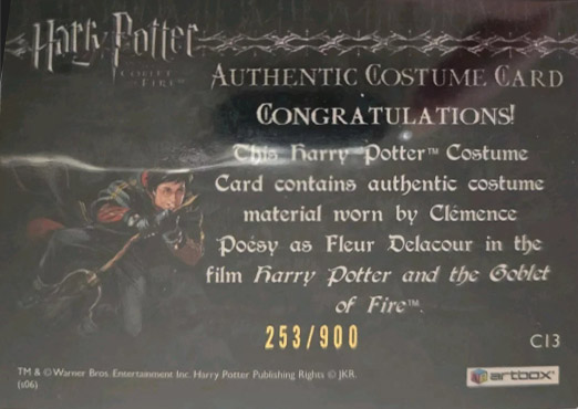 C13 - Fleur Delacour's Third Task Costume - Back