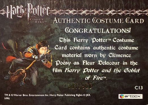 C13 - Fleur Delacour's Third Task Costume - Back