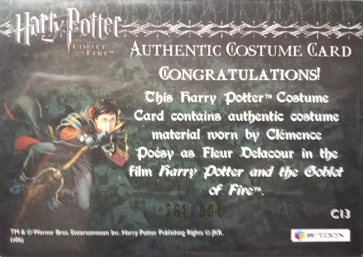 C13 - Fleur Delacour's Third Task Costume - Back