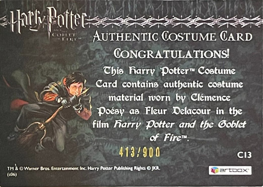 C13 - Fleur Delacour's Third Task Costume - Back