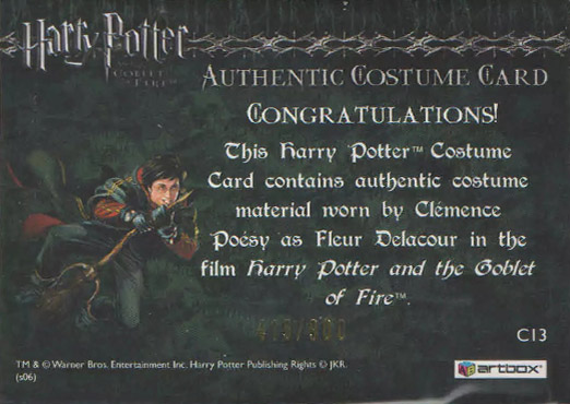 C13 - Fleur Delacour's Third Task Costume - Back
