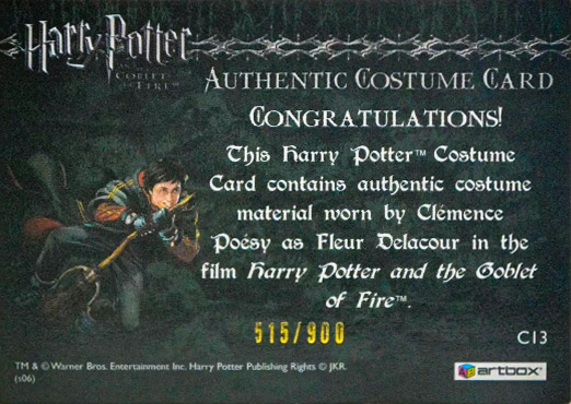C13 - Fleur Delacour's Third Task Costume - Back