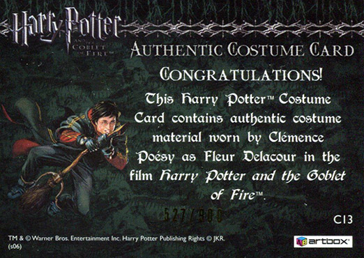 C13 - Fleur Delacour's Third Task Costume - Back