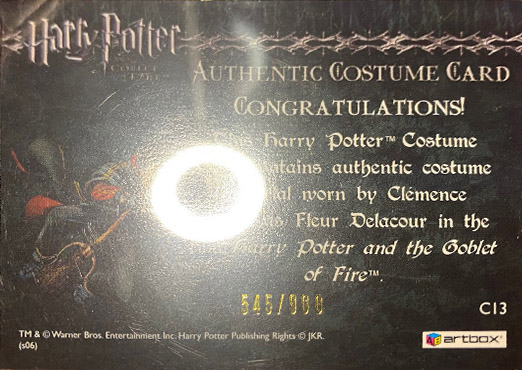 C13 - Fleur Delacour's Third Task Costume - Back