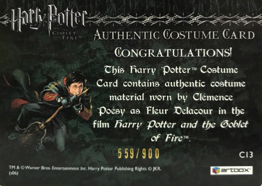 C13 - Fleur Delacour's Third Task Costume - Back