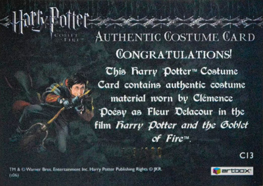 C13 - Fleur Delacour's Third Task Costume - Back