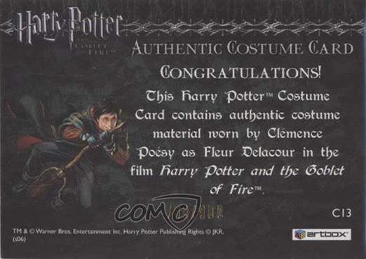 C13 - Fleur Delacour's Third Task Costume - Back