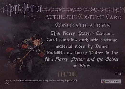 C14 - Harry Potter's Second Task Costume - Back