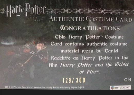 C14 - Harry Potter's Second Task Costume - Back