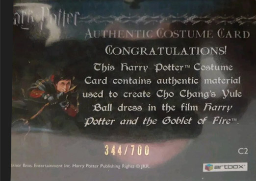 C2 - Cho Chang's Yule Ball Dress - Back