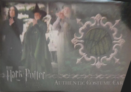 C3 - Minerva McGonagall's Yule Ball Robe