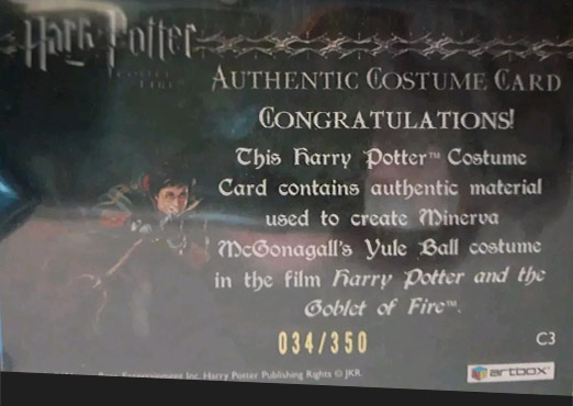 C3 - Minerva McGonagall's Yule Ball Robe - Back