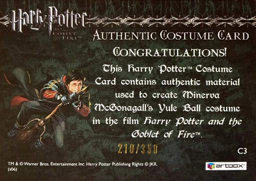 C3 - Minerva McGonagall's Yule Ball Robe - Back