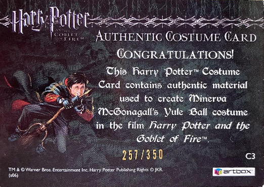 C3 - Minerva McGonagall's Yule Ball Robe - Back