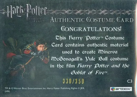C3 - Minerva McGonagall's Yule Ball Robe - Back