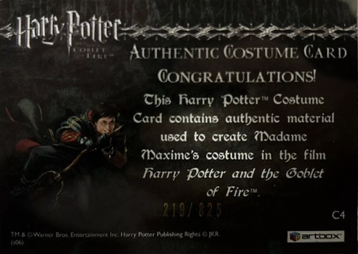 C4 - Madame Maxime's Yule Ball Dress - Back
