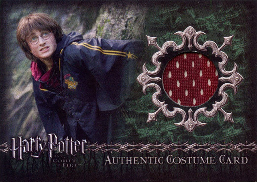 C5 - Harry Potter's First Task Robe - Front