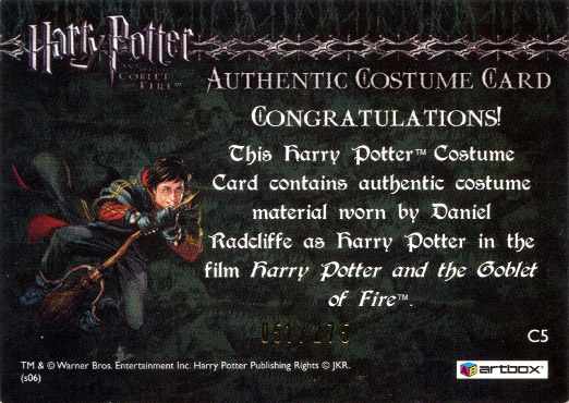 C5 - Harry Potter's First Task Robe - Back
