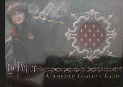 C5 - Harry Potter's First Task Robe - Front