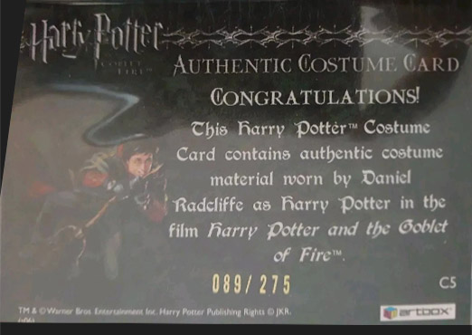 C5 - Harry Potter's First Task Robe - Back