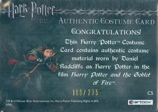 C5 - Harry Potter's First Task Robe - Back
