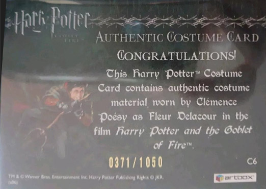 C6 - Fleur Delacour's Yule Ball Dress - Back