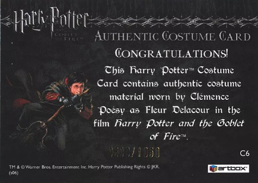 C6 - Fleur Delacour's Yule Ball Dress - Back