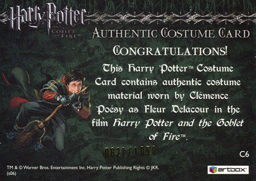 C6 - Fleur Delacour's Yule Ball Dress - Back