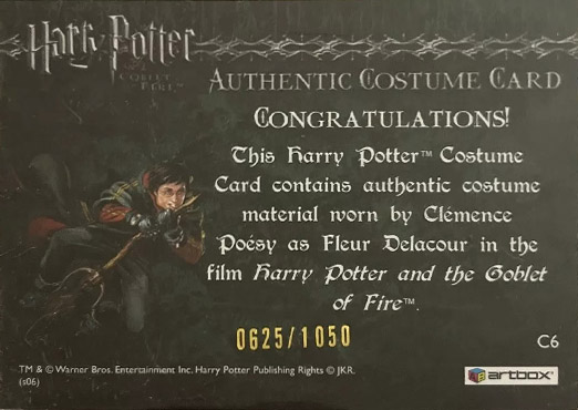 C6 - Fleur Delacour's Yule Ball Dress - Back