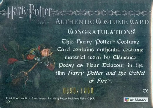C6 - Fleur Delacour's Yule Ball Dress - Back