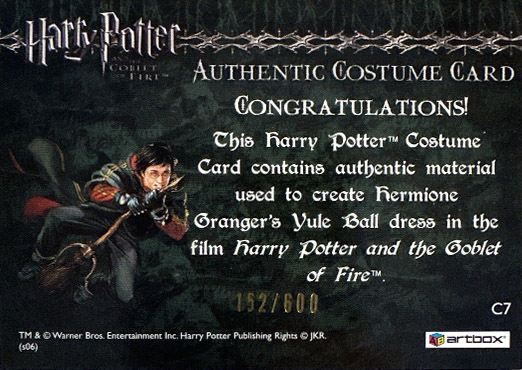 C7 - Hermione's Granger's Yule Ball Dress - Back