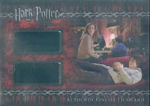 CFC8 - Hermione and Harry in the Gryffindor Common Room