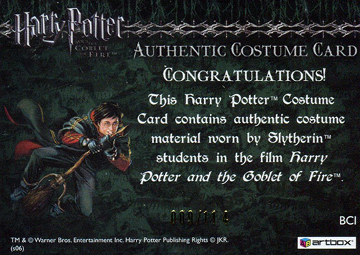 BCi - Slytherin Students Ties - Back