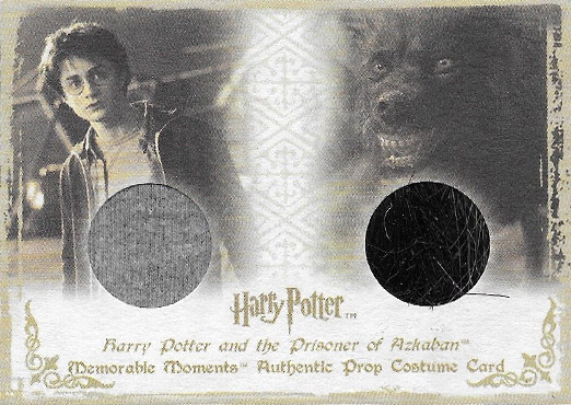 PC3 - Harry Potter's Shirt and Grim Fur