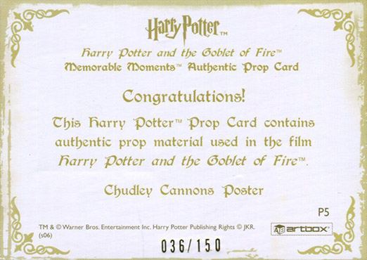 P5 - Chudley Cannons Poster - Back