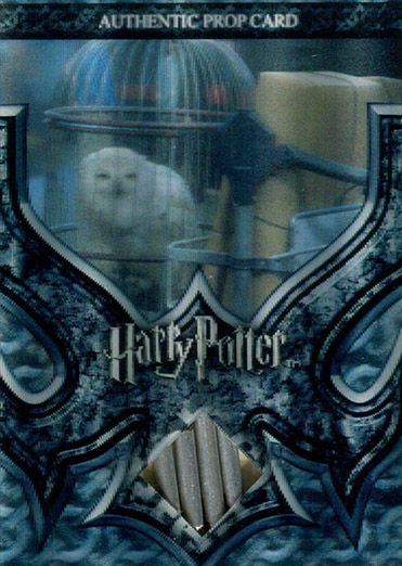 P2 - Hedwig's Cage