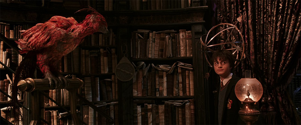 Reference image