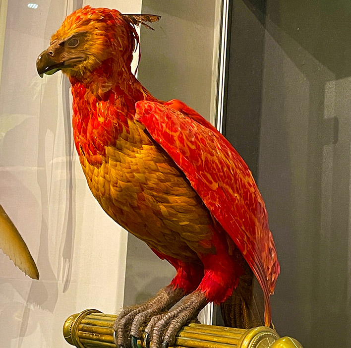 Reference image