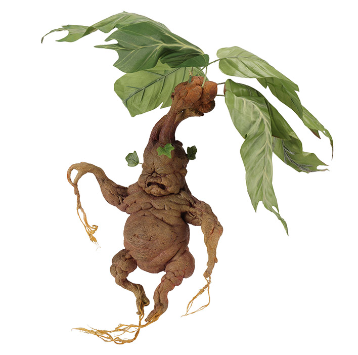 Reference image