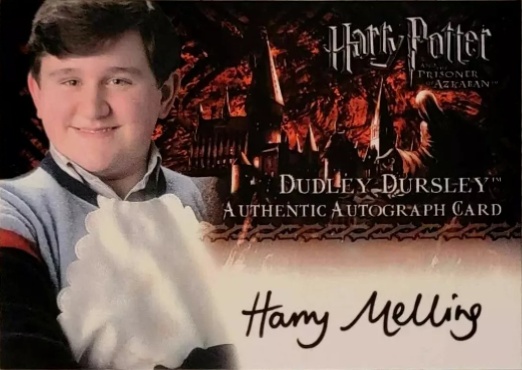 Harry Melling as Dudley Dursley - Front