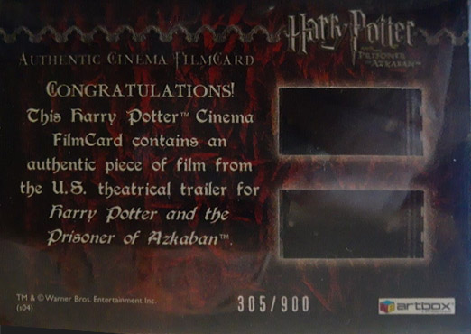 Harry Casts Patronus - Back