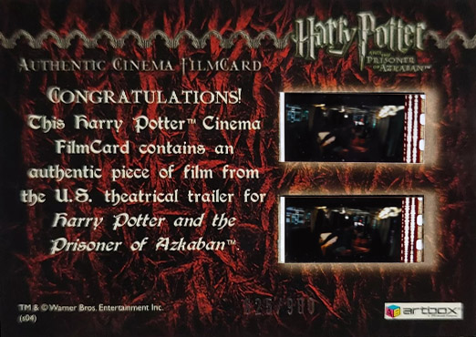 Harry Casts Patronus - Back