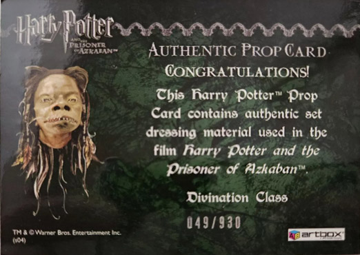 Divination Class Cloth - Back