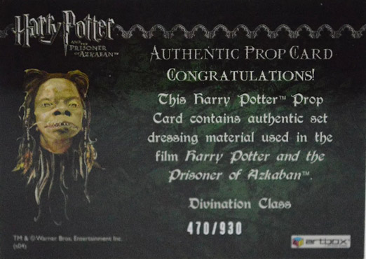 Divination Class Cloth - Back