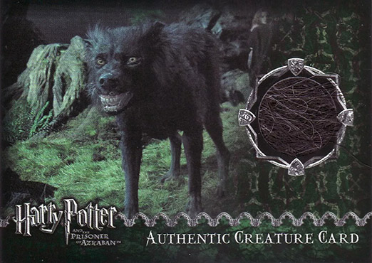Grim Fur - Front