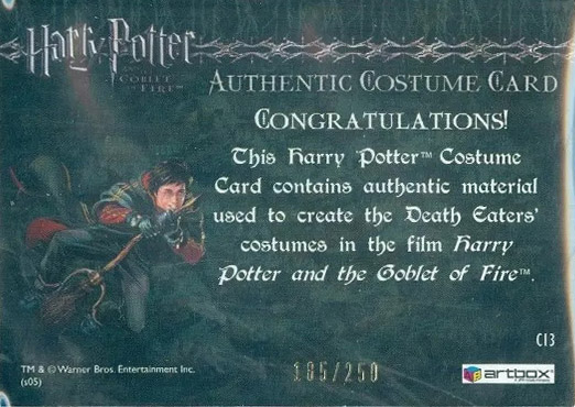 C13 - Death Eater Robes - Back