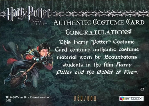 C7 - Beauxbatons Students Costume - Back