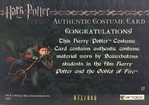 C7 - Beauxbatons Students Costume - Back