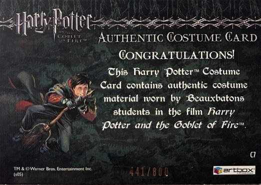 C7 - Beauxbatons Students Costume - Back