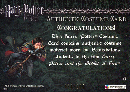 C7 - Beauxbatons Students Costume - Back